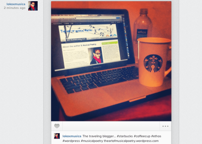 The traveling blogger 